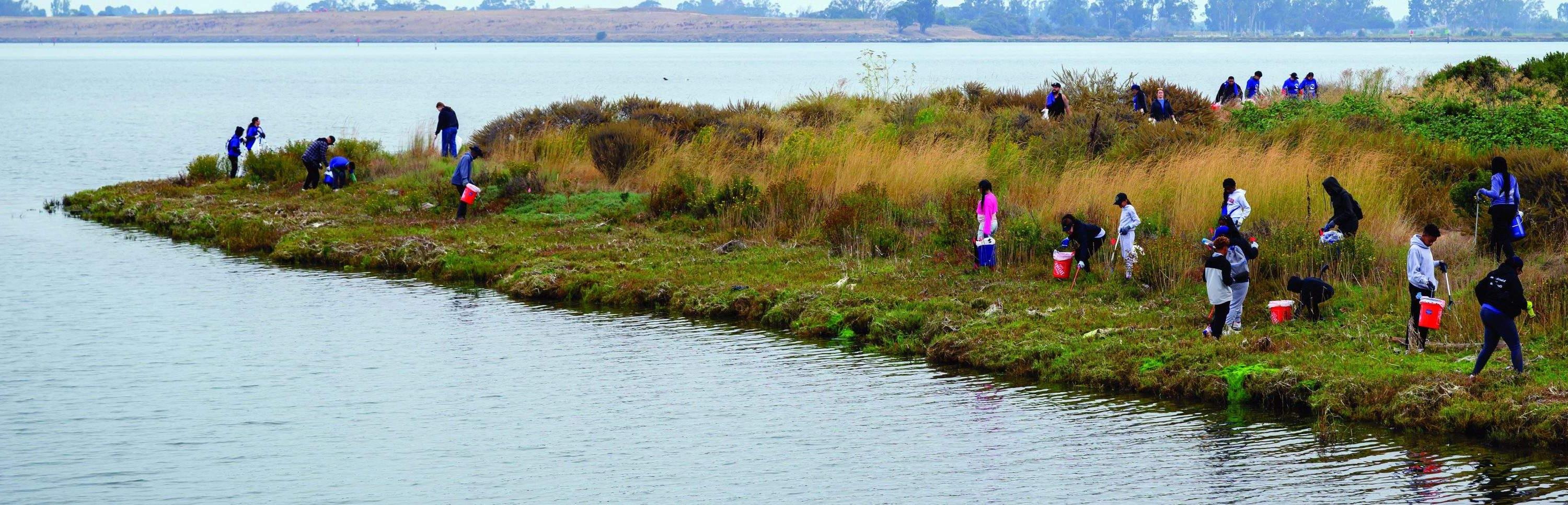 Volunteers equipped with grabbers, bags and buckets dot the estuary cleaning up trash.